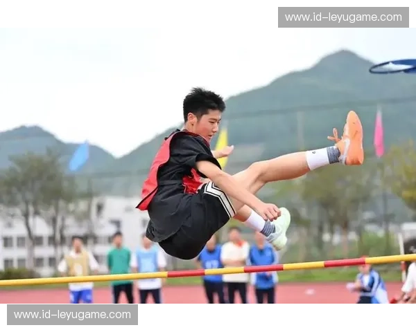 体育录像回放：让赛场的每一个瞬间都被看见的力量