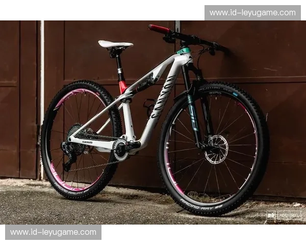 阵容山地车：开启你的越野荣光